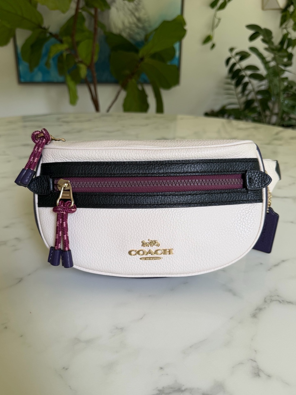 Coach Vale Belt Bag Fanny Pack Leather Crossbody Chalk  F84230 Unisex